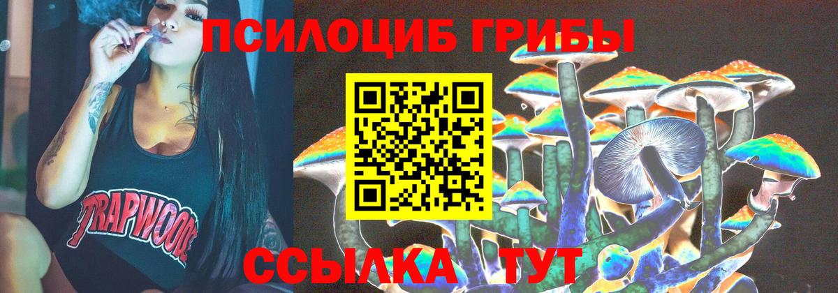 Сухой Лог  Галлюциногенные грибы Magic Shrooms  наркотики  Вход с VPN 