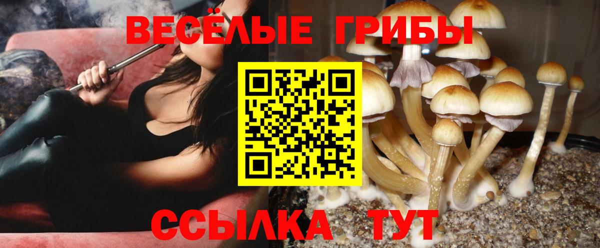 Псилоцибиновые грибы мухоморы Сухой Лог